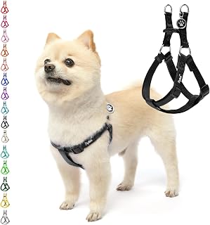 PUPTECK No Pull Dog Harness Small Sized Step-in Adjustable Puppy Vest