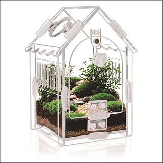 Acrylic Terrarium Kit for Jumping Spiders, Tarantulas, Mantis, Small Reptiles, 3.15"x3.15"x5.6" Enclosure with Magnetic Door, Ventilation, Easy Assembly