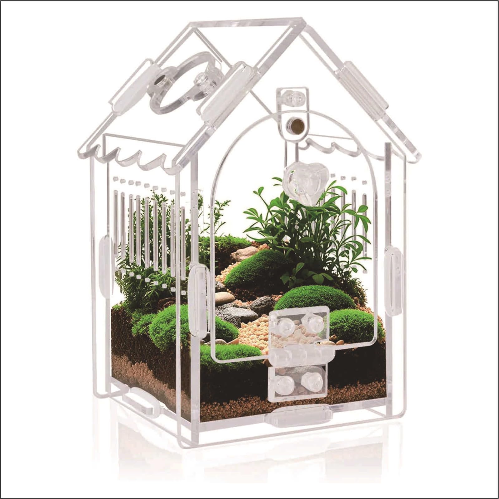 Acrylic Terrarium Kit for Jumping Spiders, Tarantulas, Mantis, Small Reptiles, 3