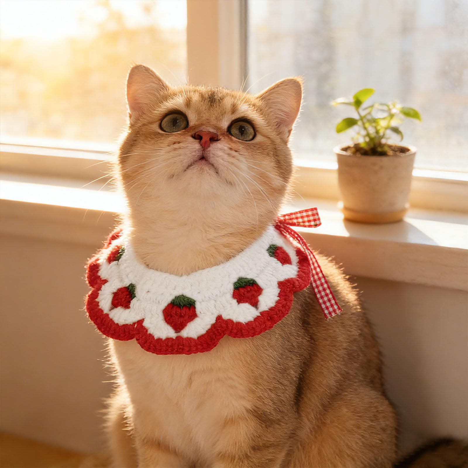Cute Pet Bib, Adorable Knitted Dog Bandana or Small Dog, Cat, Lightweight Decora