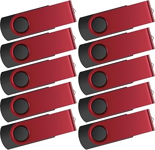 Kepmem (10 x USB 2.0 Flash Drives, 2 GB, Flash Drive), Red