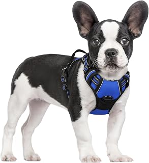 rabbitgoo Dog Harness for Medium Dogs Anti-Pull with Handle, S, Blue