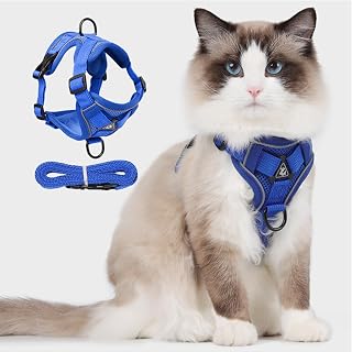 Dog Harness Set with Leash Adjustable Reflective Mesh Harness for Small Medium Dogs Cats (Blue, L)
