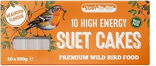 Suet To Go Mealworm Suet Block Wild Bird Treat, 300 g ( Pack of 10) (Packaging may vary)