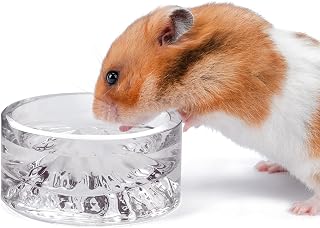 Niteangel Hamster Feeding & Water Bowl: - Mount Fuji Series Glass Drinking Bowls for Dwarf Syrian Hamsters Gerbils Mice Rats or Other Similar-Sized Small Pets (White, 50 ml)