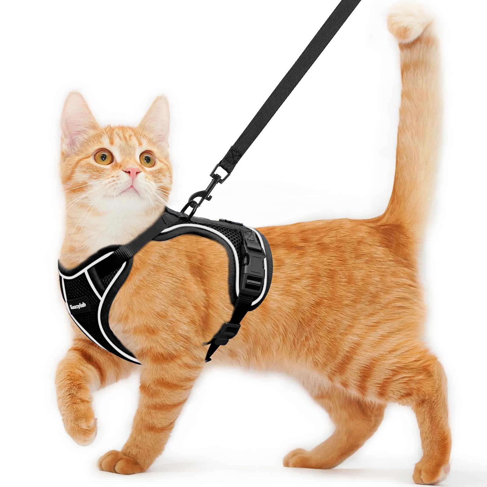 Cat Harness and Leash for Walking Escape Proof Soft Adjustable Cat Leash | Breat