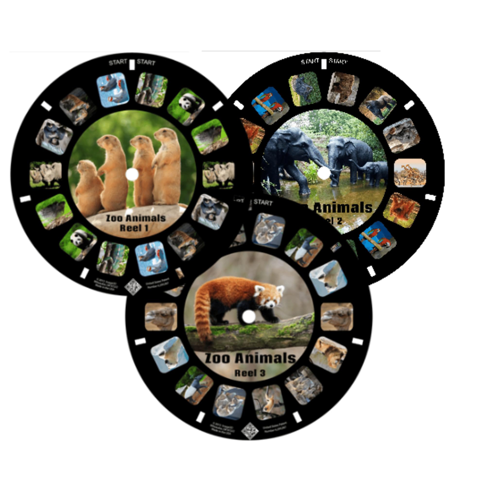 Zoo Animal Reels for Viewfinder Compatible with Viewmaster and Image3D Viewers. 