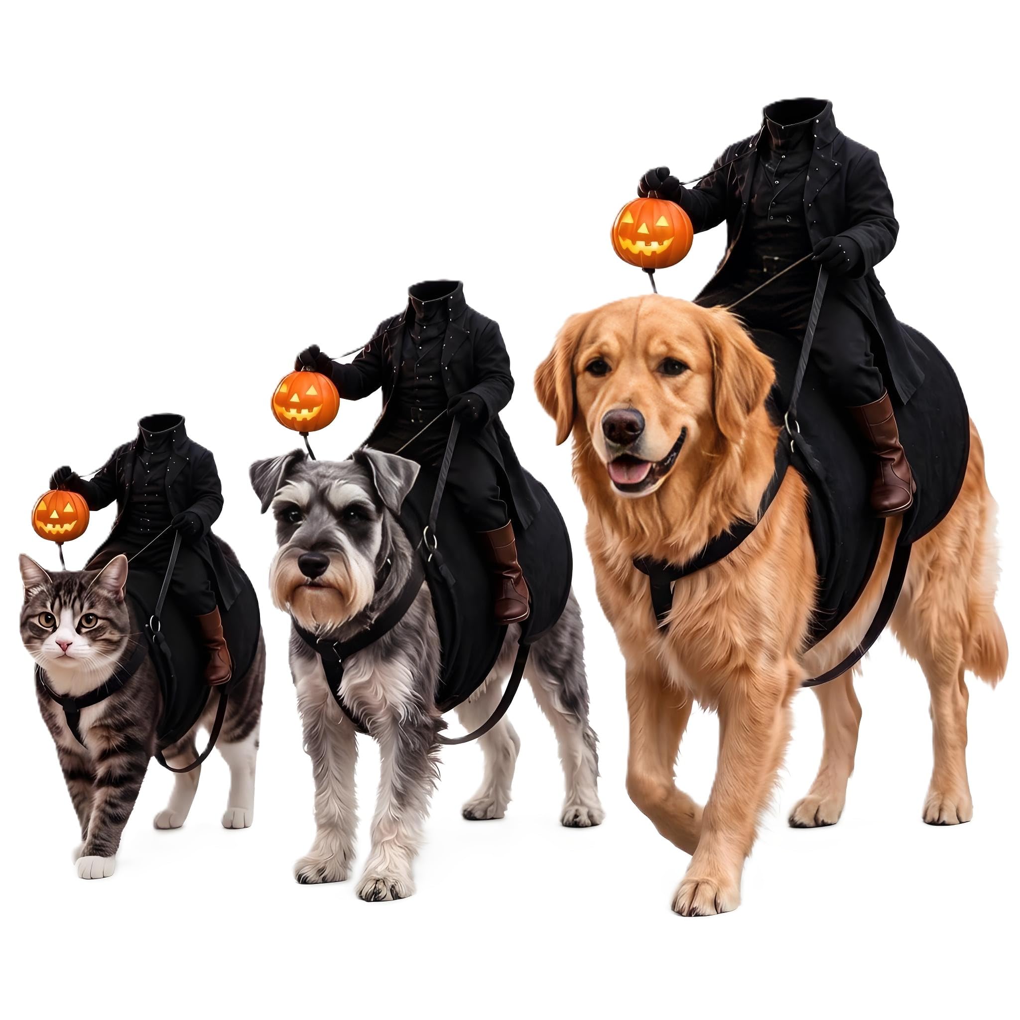 Light Up Headless Horseman Pet Costume for Dogs and Cats | Halloween Pumpkin Rid