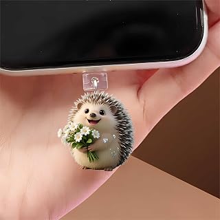 Cute Hedgehog Dust Plug Acrylic Electronic Products with Type-C Charging Port Compatible with E-reader, Phone, Tablet, Christmas Gift, Birthday Gift