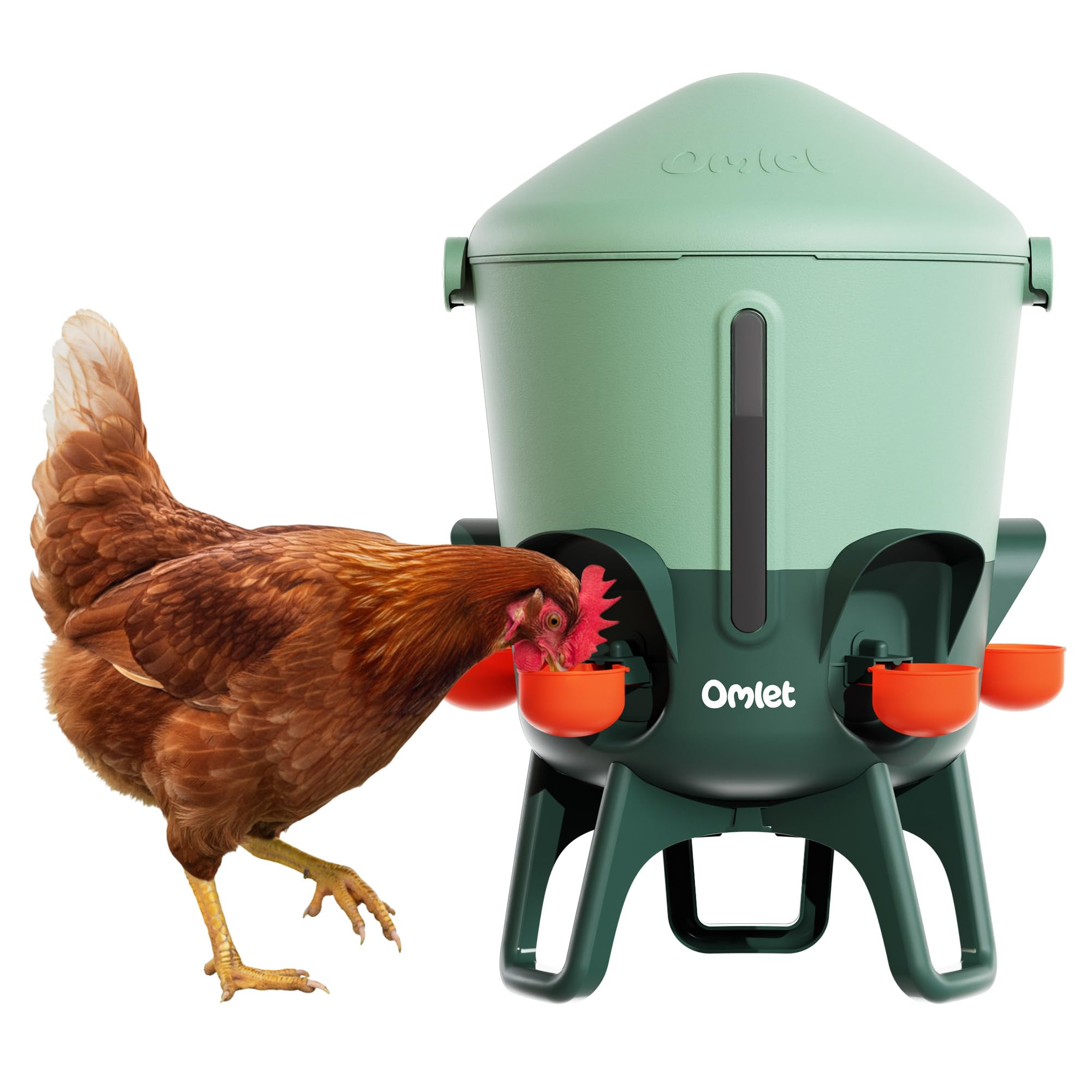 Omlet Insulated Chicken Waterer, 3 Gallon | Automatic Poultry Water Dispenser wi