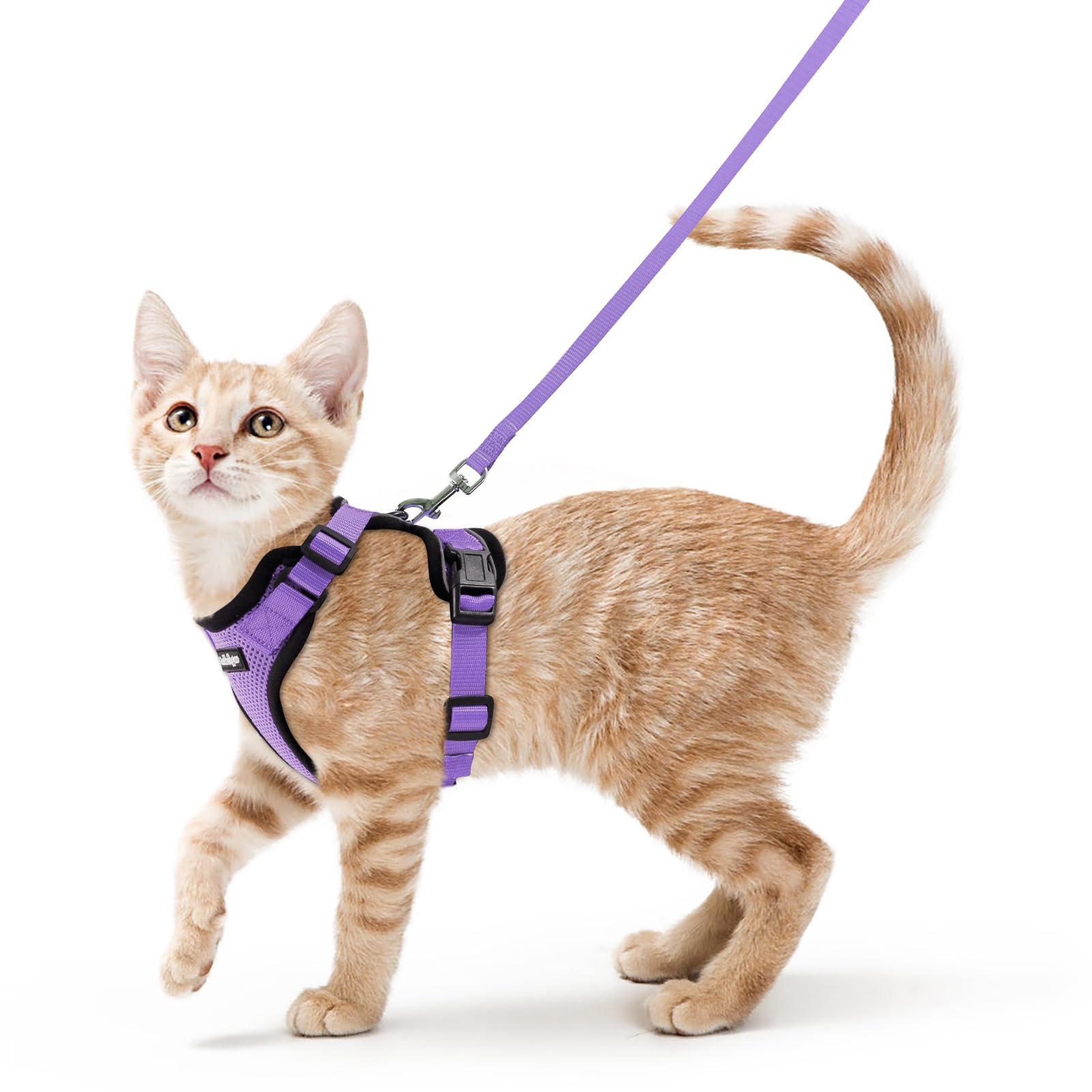 rabbitgoo Cat Harness and Leash Set, Escape Proof Vest, Light Purple
