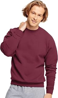 Hanes Men's Men's EcoSmart Sweatshirt Sweatshirt (Pack of 1)