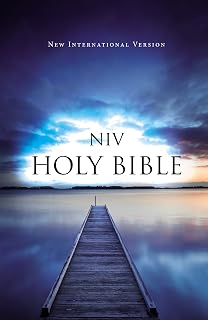 NIV, Value Outreach Bible, Paperback: (Perfect for Church Newcomers, Ministry Gifts, and Events)