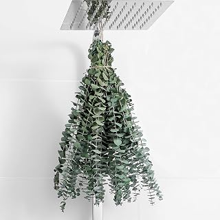 10 Pcs Dried Eucalyptus Stems 17" Real Eucalyptus for Shower Hanging | 100% Made from Fresh Eucalyptus Stems, Bathroom Decor Home Decor Wedding, Home, Farmhouse, DIY Spring Decor