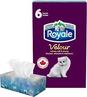 Royale Velour Facial Tissue, 6 Boxes, 82 Tissues Per Box | 3 ply