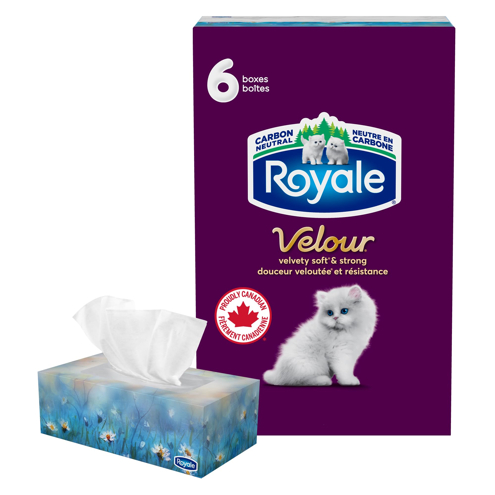 Royale Velour Facial Tissue, 6 Boxes, 82 Tissues Per Box | 3 ply