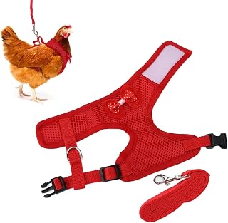 Rooster Leash with Adjustable Pulling Rope,Comfortable Breathable Chicken Leash Chain for Training and Walking Hens Roosters Duck Goose (M)