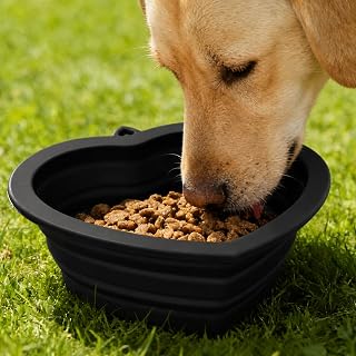 Heart Shape Foldable Dog Bowl, Silicone Pet Bowl Portable Foldable Cat Dog Food Water Bowl Lightweight Travel