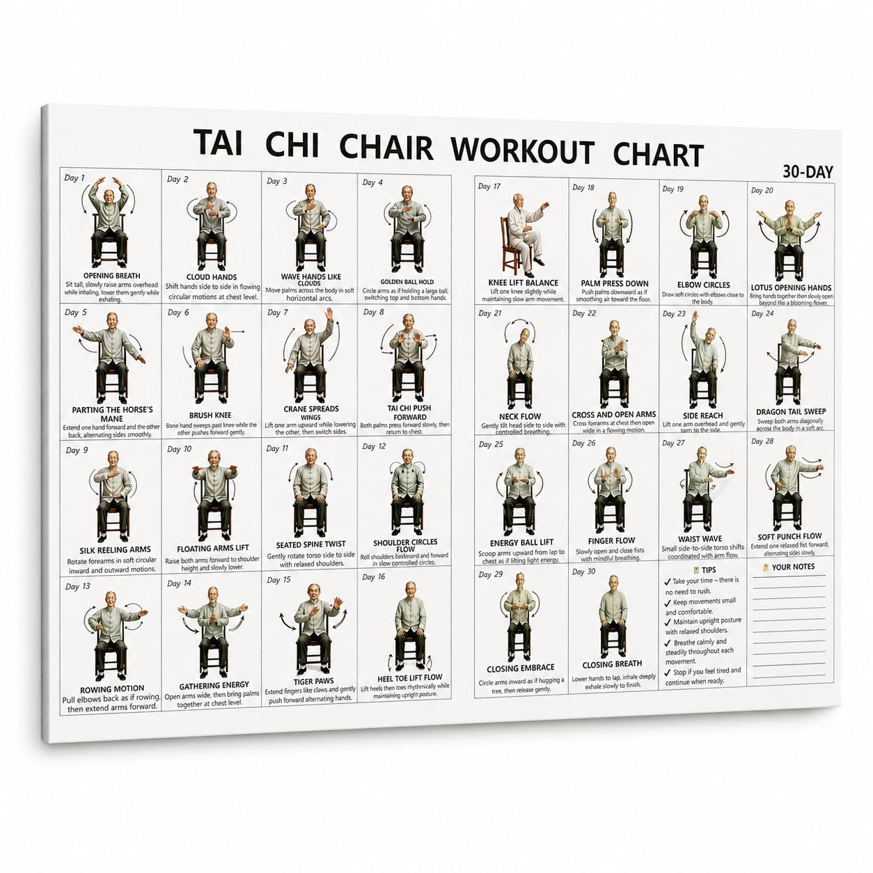 Adult Home Fitness Guide Wall Decor Tai Chi Chair Workout Chart Poster, 30 Day S