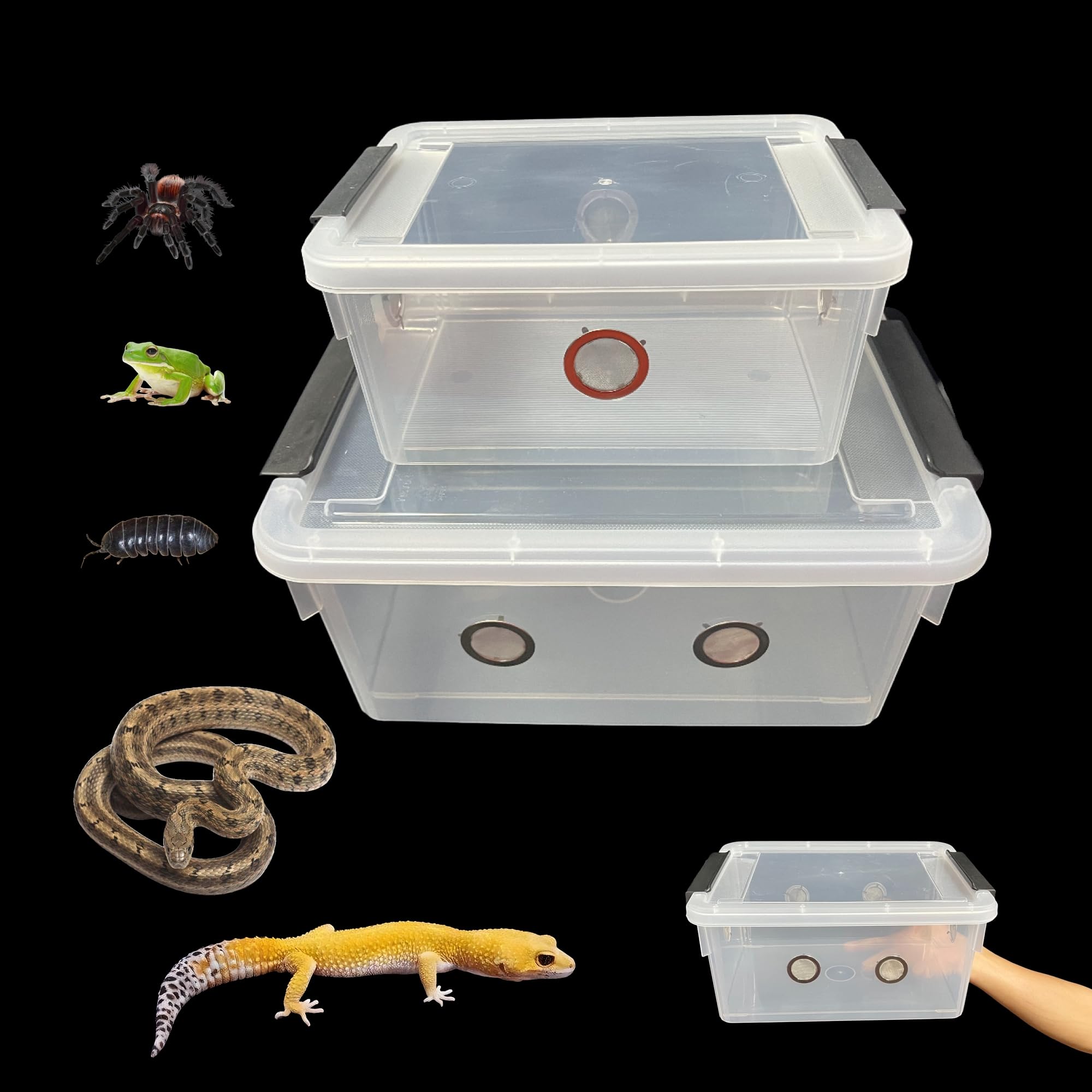 2pcs Large Reptile Feeding Box Snake Breeding Box Plastic Reptile Tank for Sling