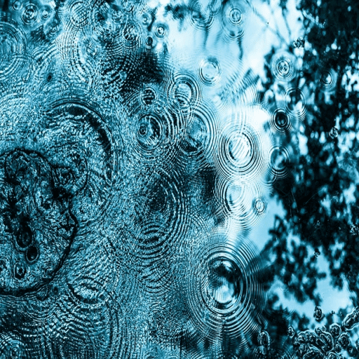 Rain Sounds