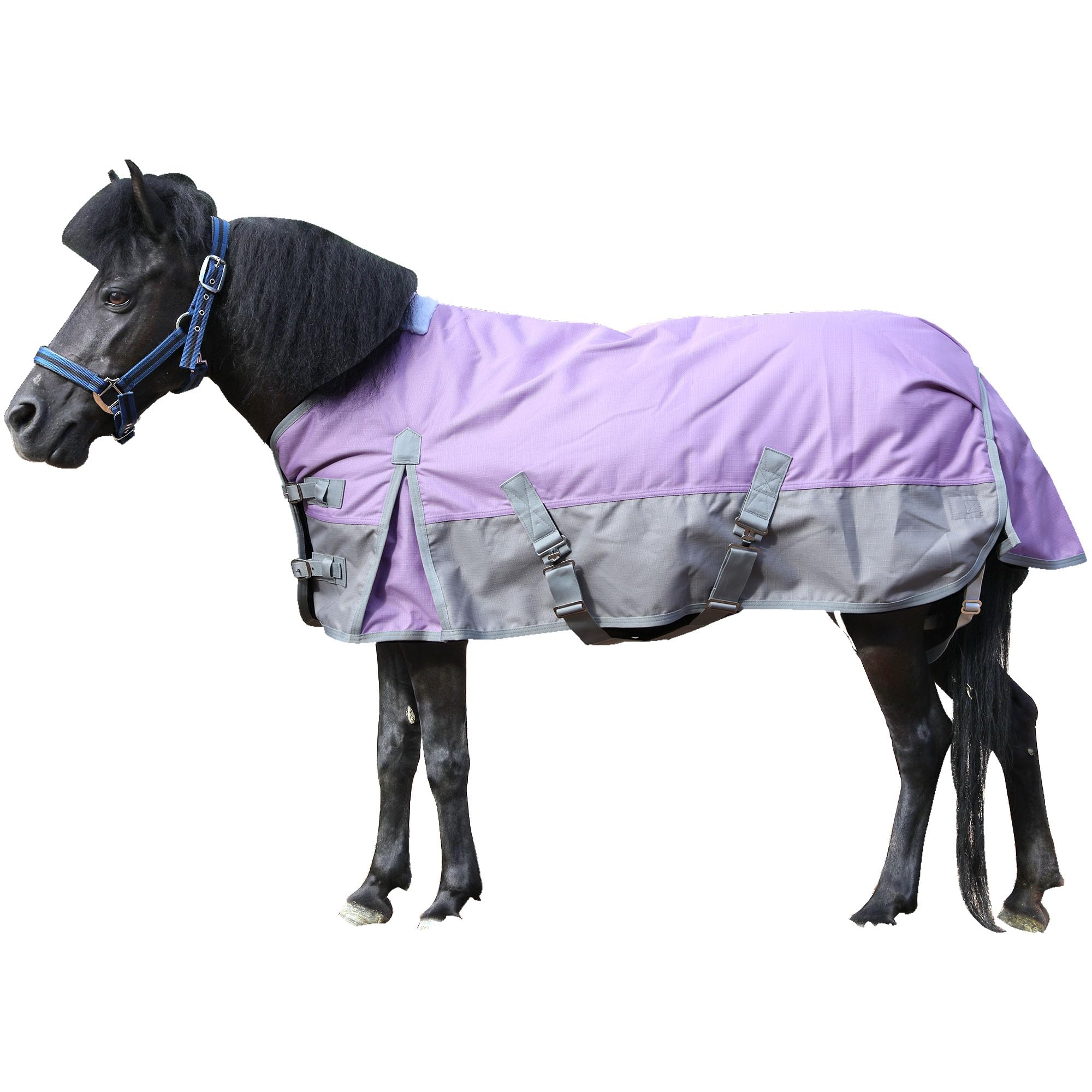 Gallopoff 1200D Mini/Pony Horse Blanket, 200g Waterproof Winter Turnout | 1200D 