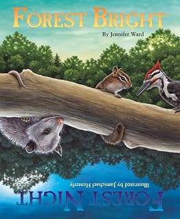 Forest Bright, Forest Night: A Day-to-Night Counting Adventure (Sharing Nature with Children Books)