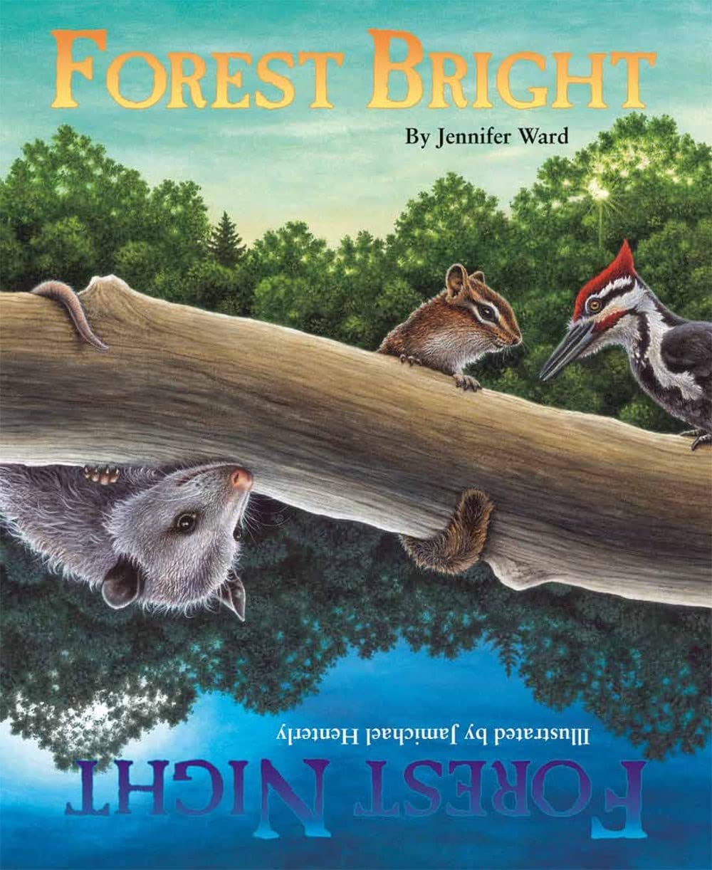 Forest Bright, Forest Night: A Day-to-Night Counting Adventure (Sharing Nature w