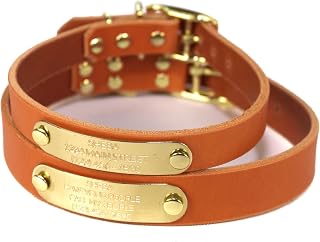 Handmade Personalized Bridle Leather Dog Collar, Engraved Solid Brass Nameplate (Orange)