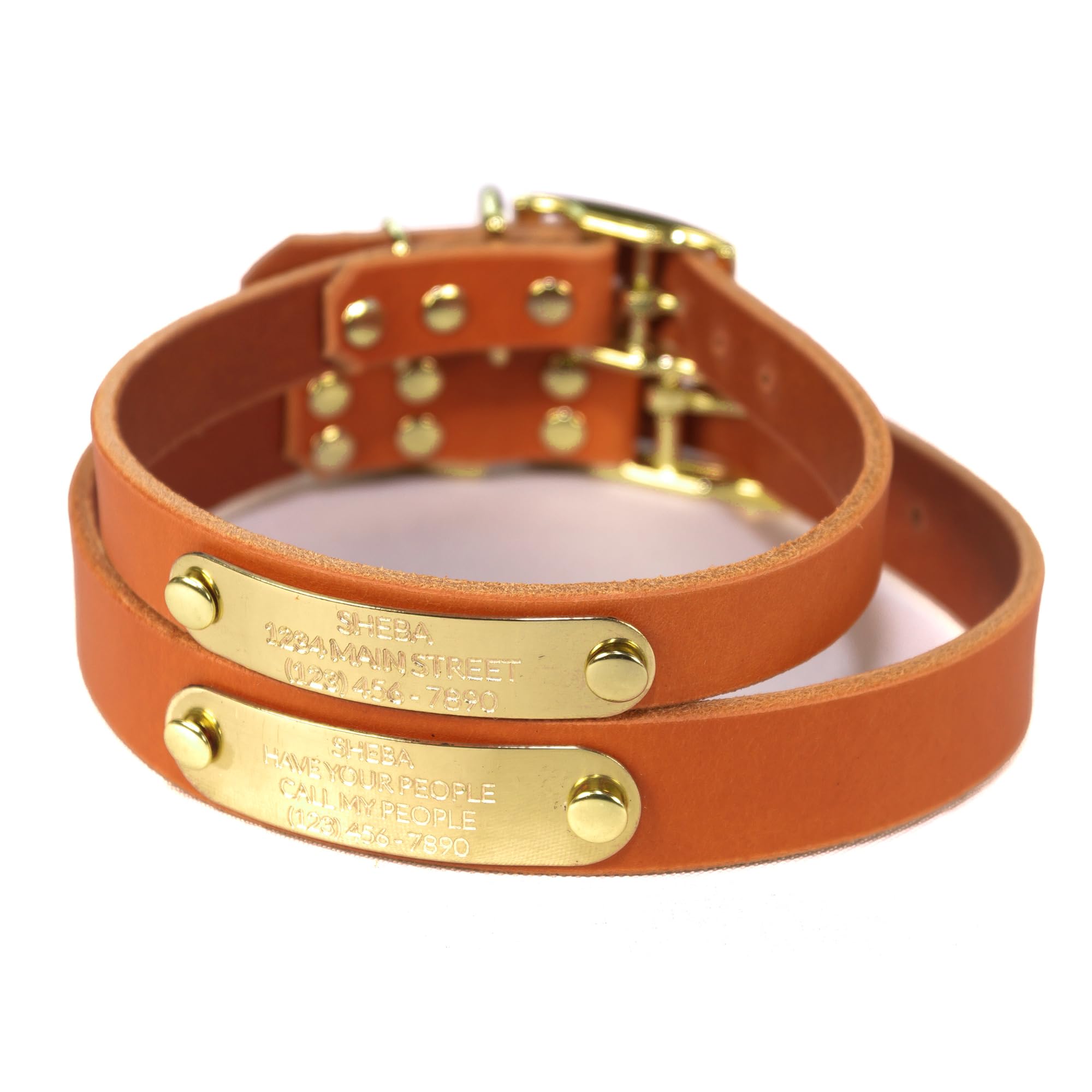 Handmade Personalized Bridle Leather Dog Collar, Engraved Solid Brass Nameplate 