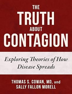 Truth About Contagion: Exploring Theories of How Disease Spreads