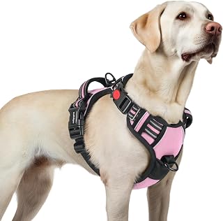 rabbitgoo Dog Harness for Large, Updated Easy On & Off with 3 Buckles