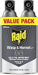 Raid Wasp & Hornet Killer, Outdoor Flying Insect Spray, 14oz, 2 Count | Kills Wasps & Hornets on Contact, Sprays Up to 22 Feet
