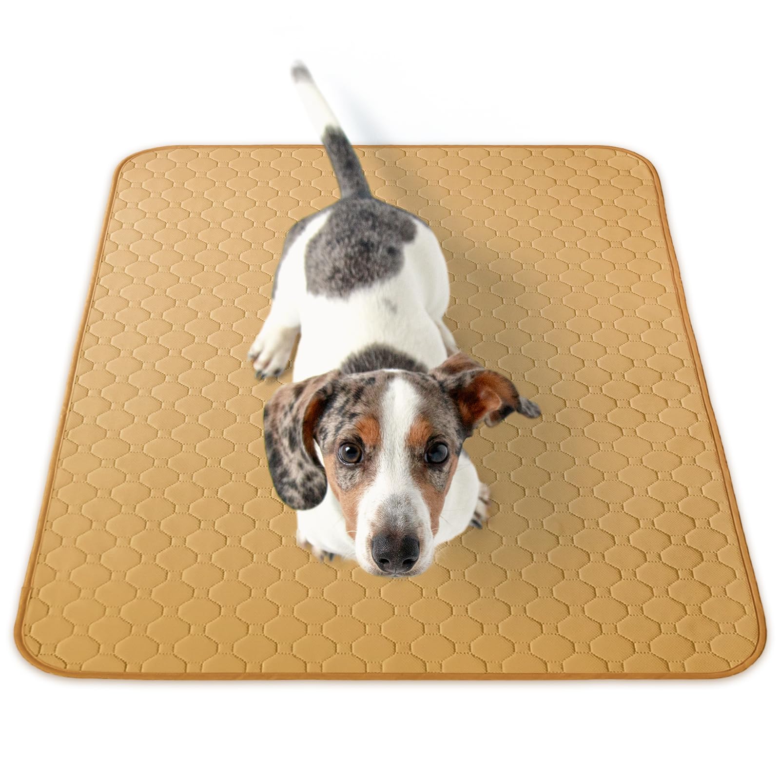 Inulabo Washable Pet Sheet, XXL Urine Mat, Pet Mat, Completely Washable, Reusabl