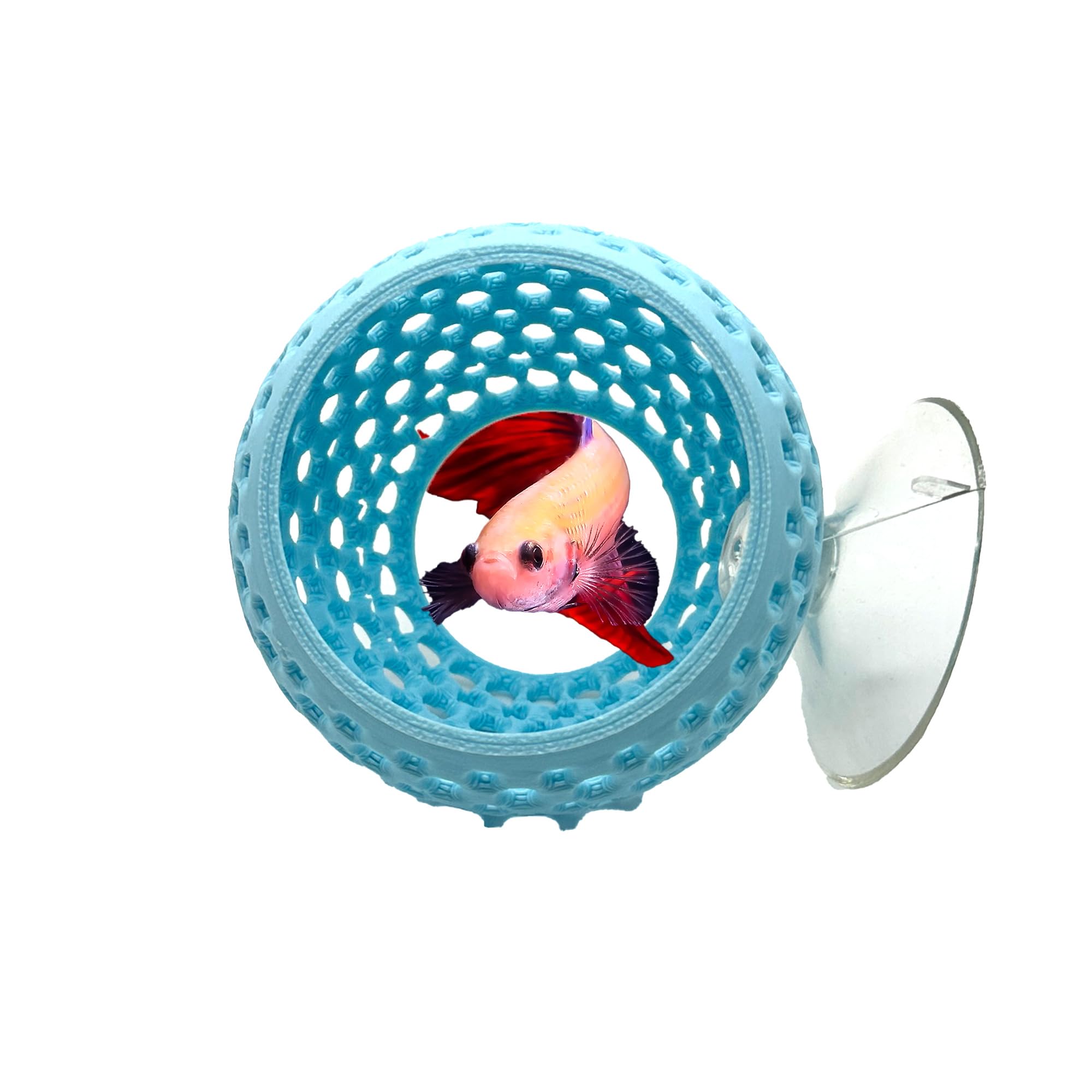 CTWPets Betta Bulb Hide, Betta Bed & Aquarium Cave, Cotton Candy Blue | Suction-