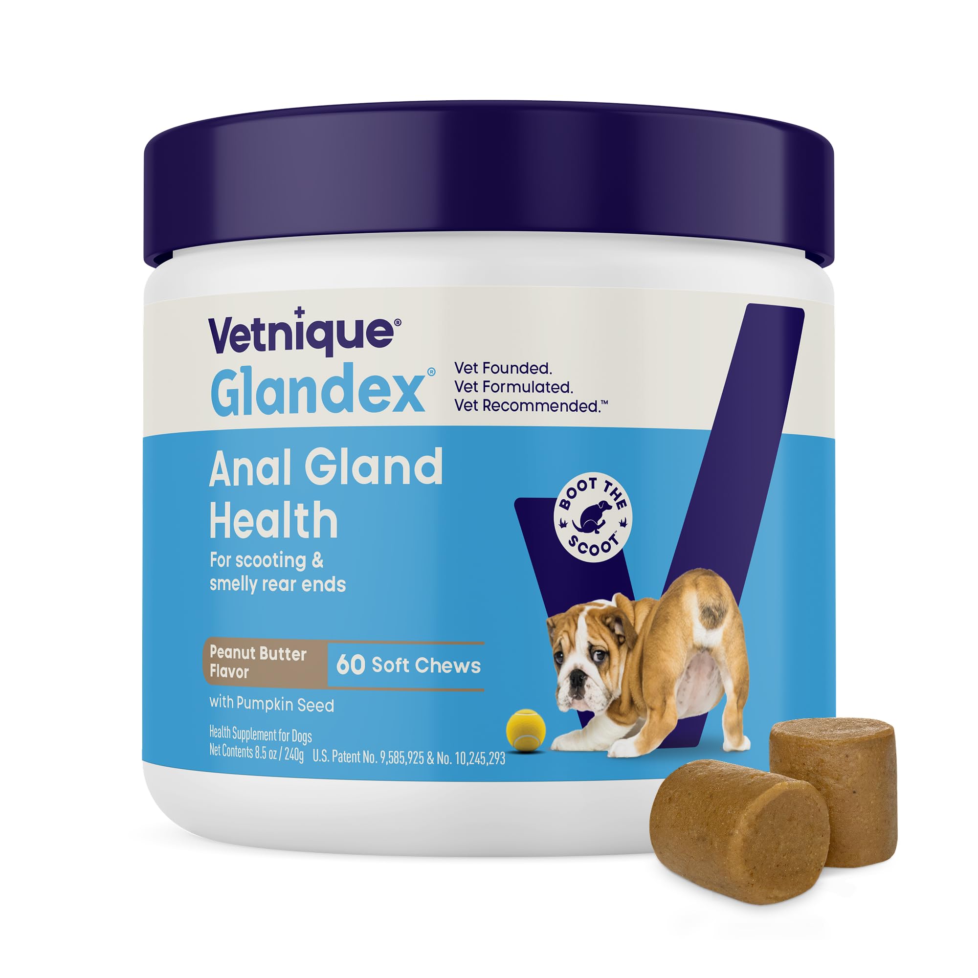 Vetnique Glandex for Dogs Anal Gland Chews 60ct Pumpkin + Digestive Enzymes | An