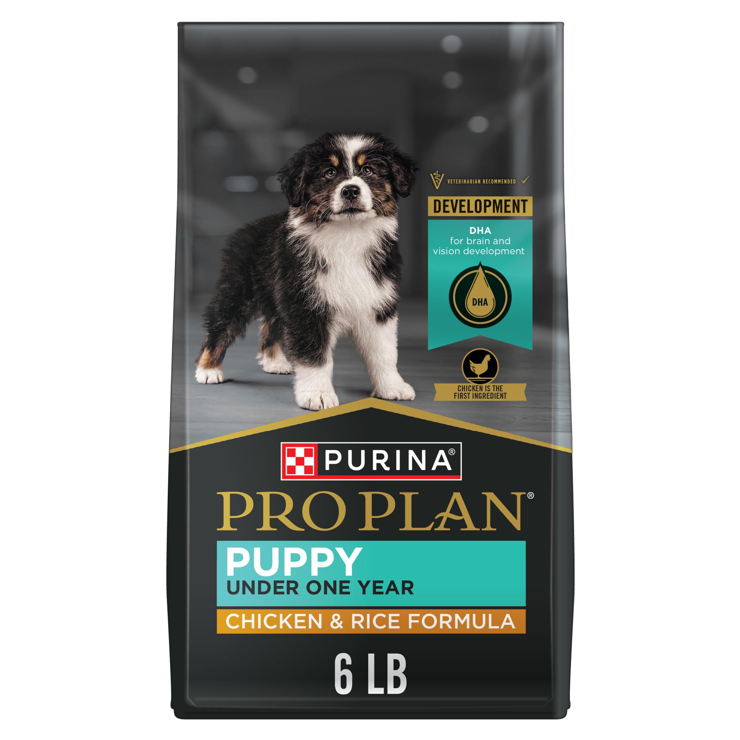 Purina Pro Plan High Protein Dry Puppy Food, Chicken & Rice, 6 lb Bag | Developm