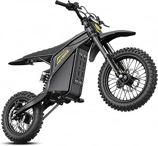 Heybike Electric Dirt Bike Villain, 4160W Electric Motorcycle, 45 MPH | 50 Miles Range Dirtbike, Hydraulic Brakes, Dual Suspension. 14" Fat Tire E Dirt Bike with Reverse Mode, UL 2849, Black