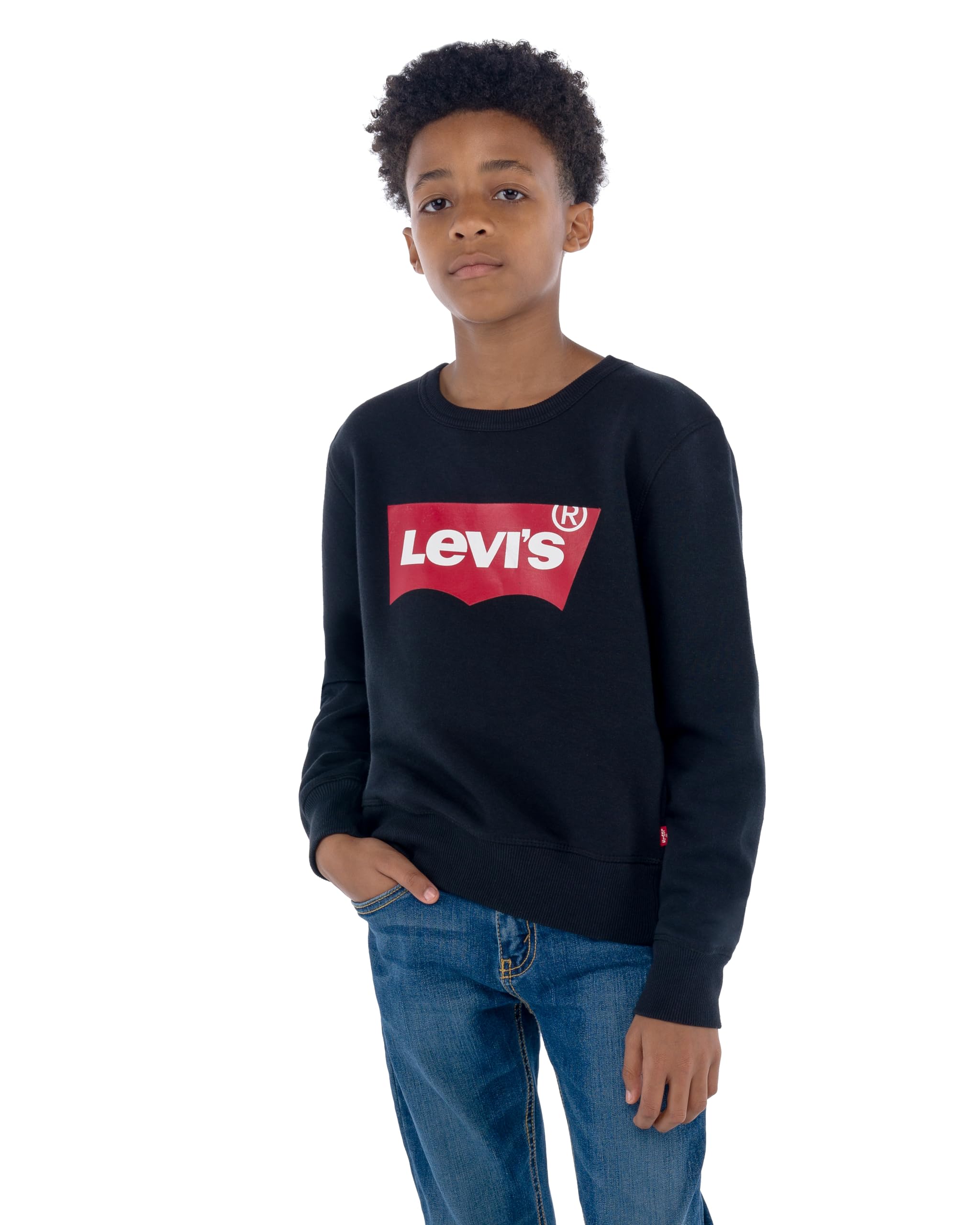 Levi's Boy's Lvb Batwing Crewneck 8e9079 Sweatshirts (Pack of 1)