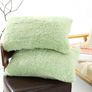 Solid Plush Standard/Queen Pillowcase 2 Pack Super Soft Fluffy Faux Fur Shaggy Pillow Cases/Covers Decorative Throw Pillow Shams with Zipper Closure (20"×30",Mint Green)