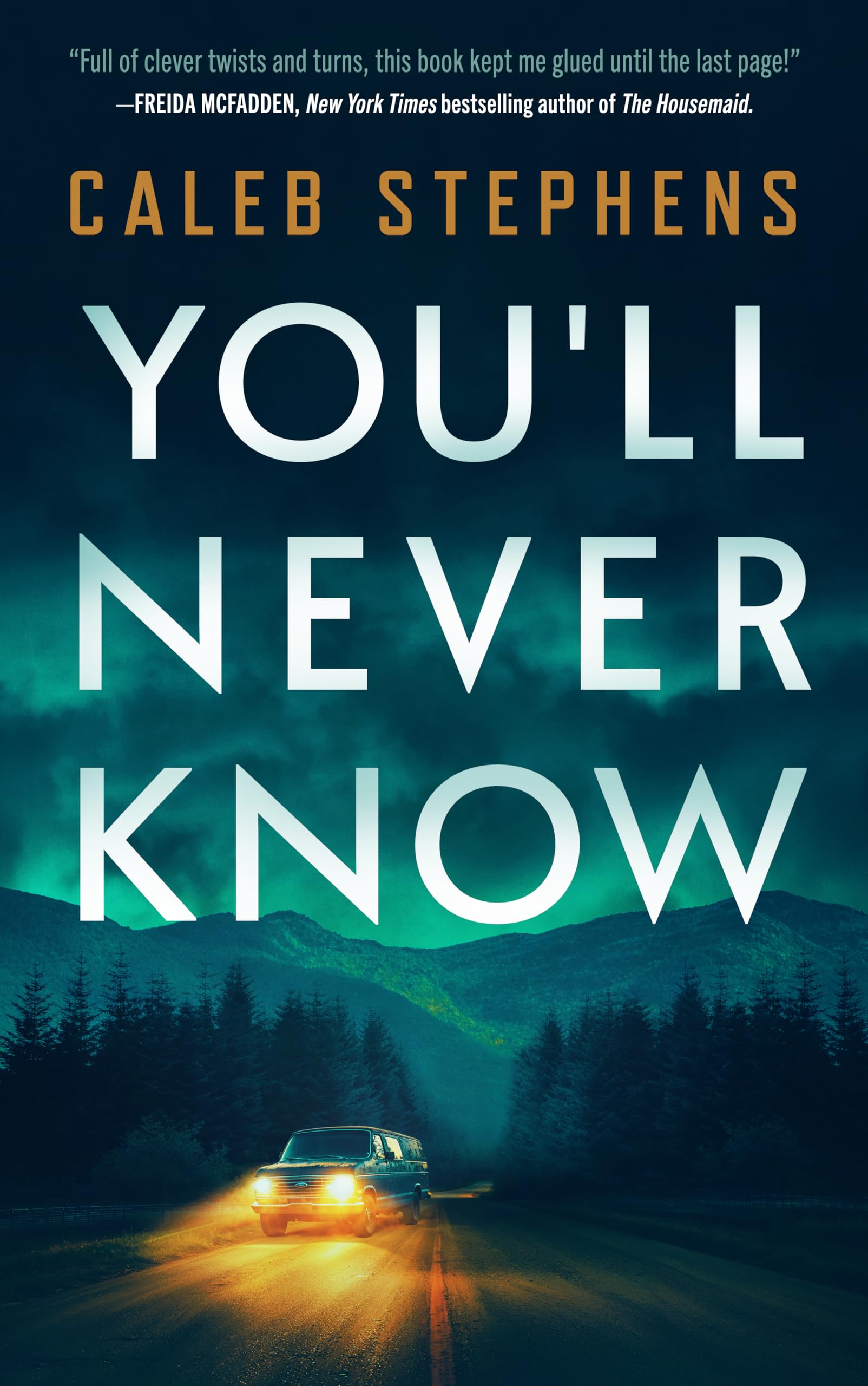You'll Never Know: A Thriller