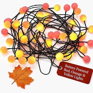 Qbis 40 Berry Cluster Lights - Outdoor/Indoor Christmas Lights with Timer, Battery Powered Fairy String Lights in Red, Orange & Yellow, Autumn and Fireplace Cosy Lighting, Great for Halloween Too!