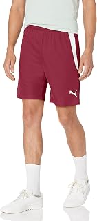 PUMA Teamliga Men's Shorts