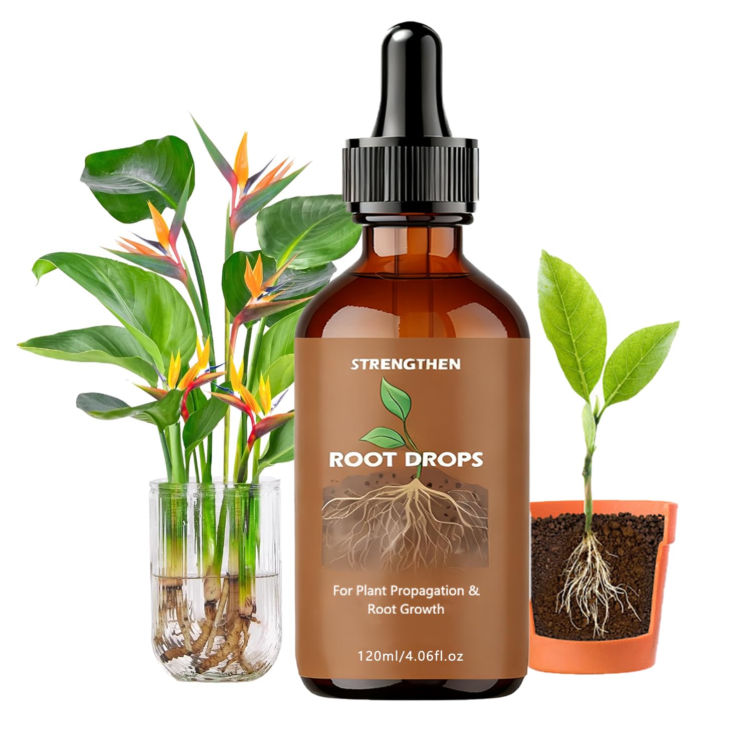Root Drops,Liquid IBA Rooting Hormone for Cuttings,Rooting Vitamins Propagation 