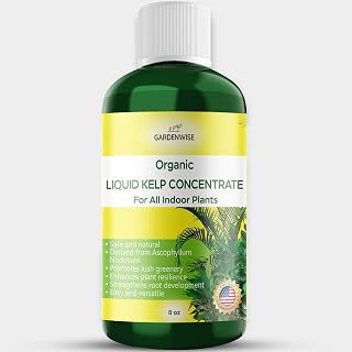 GARDENWISE Organic Premium Kelp Seaweed Fertilizer - Liquid Hydroponics Fertilizer - Liquid Plant Food - Nutrient-Rich Soil Enhancer - Natural Plant Food for All Indoor Plants (8 oz)