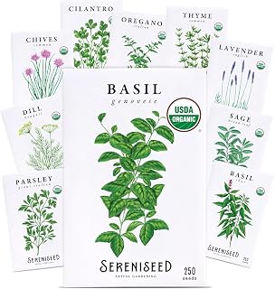 Sereniseed Certified Organic Herb Seeds 10-Pack, Culinary Garden Kit | Non-GMO Heirloom Variety Pack for Indoor & Outdoor Gardening, Grow Basil Cilantro Parsley Thyme Dill Lavender Chives