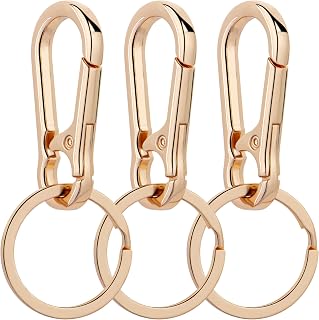 Wikavanli Metal Key Ring Clip Key Ring Organizer for Home Car for Women Men