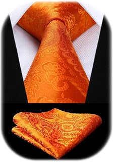 HISDERN Paisley Floral Men's Ties Modern Necktie and Pocket Square Matching Classic for Wedding Party Business