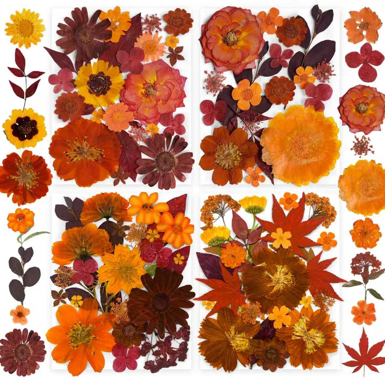 141PCS Brown Fall Dried Pressed Flowers for Resin - YouthBro Real Nature Flowers
