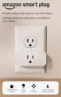 Amazon Smart Plug | Works with Alexa | Simple Setup, Endless Possibilities (1-Pack)